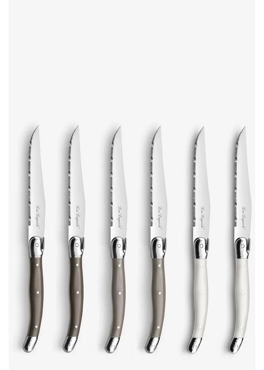 Amefa Steakmesser mit Messerblock (6er Pack)