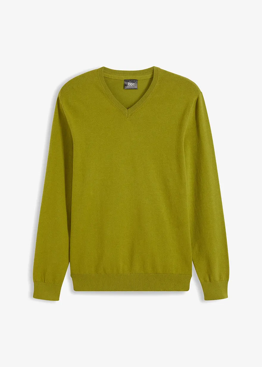 Feinstrickpullover in Regular Fit